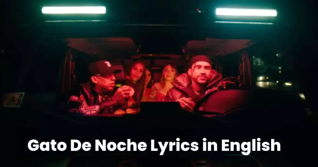 Gato De Noche Lyrics in English